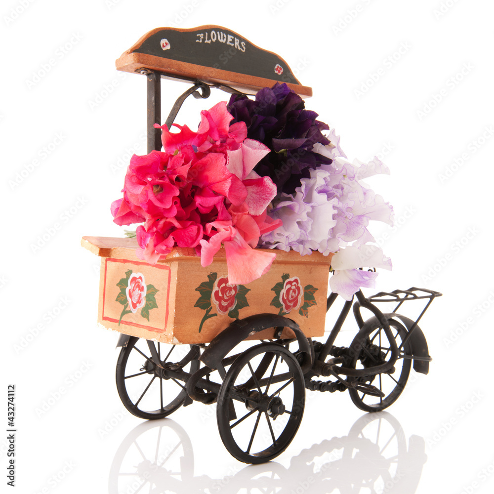 Antique flower bike with Lathyrus