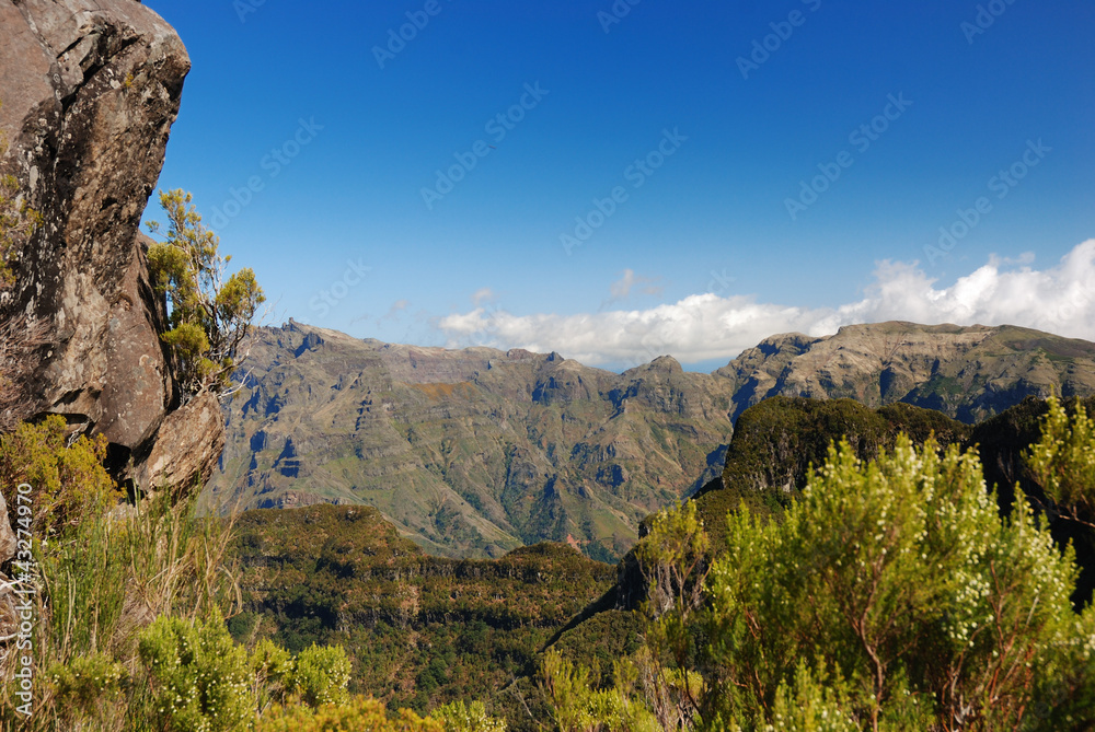Scienic view, madeira, portugal