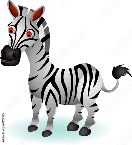 funny zebra cartoon
