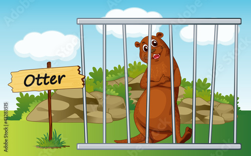otter in cage