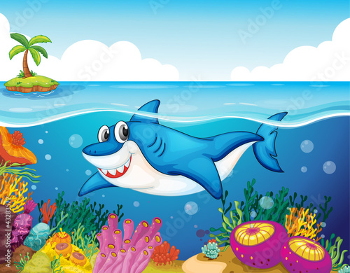 shark fish in sea