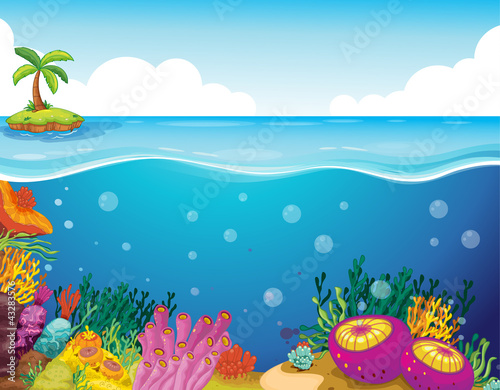 palm tree and coral