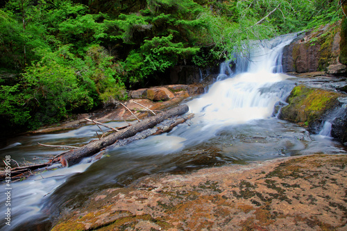 Alsea Falls