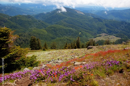 Εκτύπωση καμβά View from the Top of St Marys Mountain