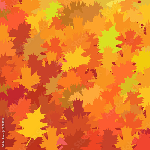 Vector illustration maple leaf background