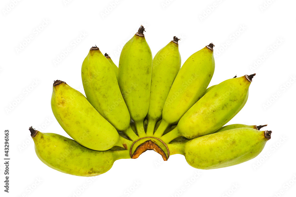 bananas isolated on white bananas isolated on white