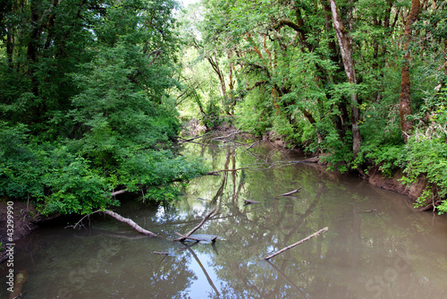 NW.L.Finley National Wetland Reserve photo