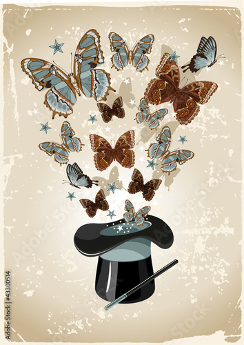 magician's hat