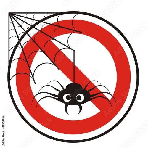 Araña_3
