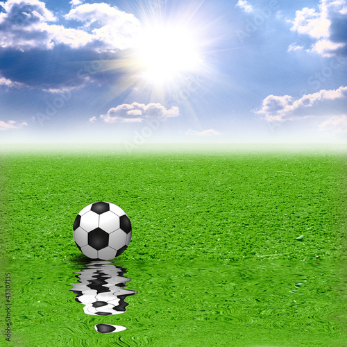 Classic soccer ball on green grass reflecting in water