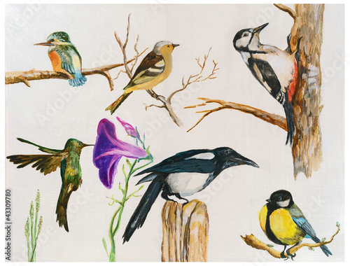 Canvas Print birds - acrylic paint, hand painting