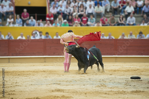 Torero ejecutando un pase con la muleta. photo