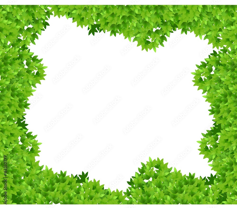 leaf background leaf background