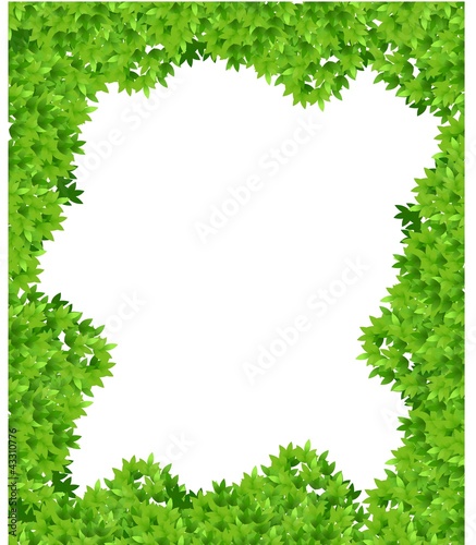 leaf background