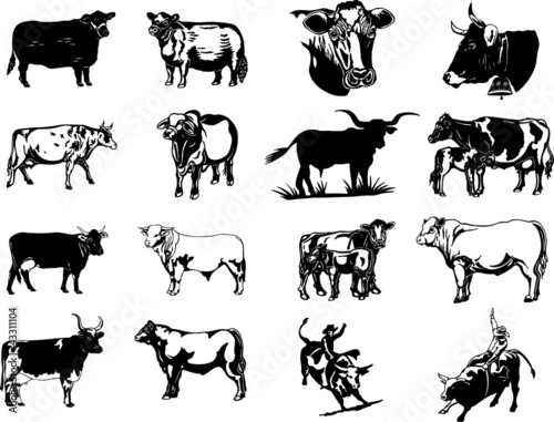 Bulls and cows silhouettes