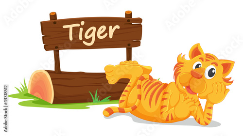 tiger and name plate