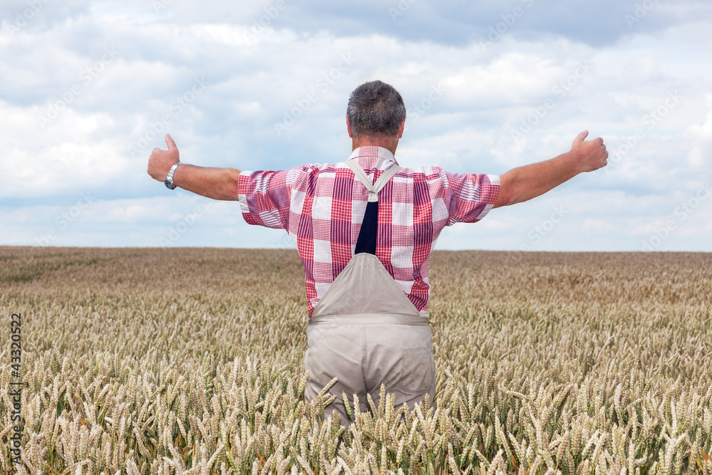 Bauer shows joy in his corn field Bauer shows joy in his corn field