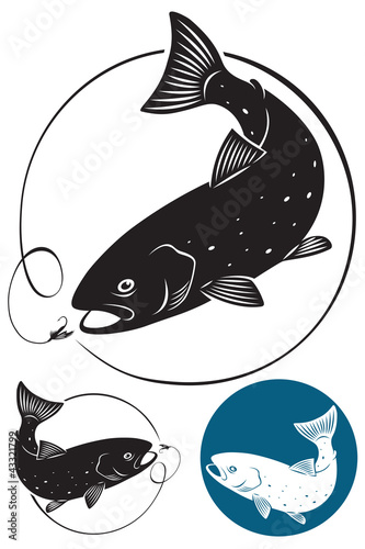 trout fish