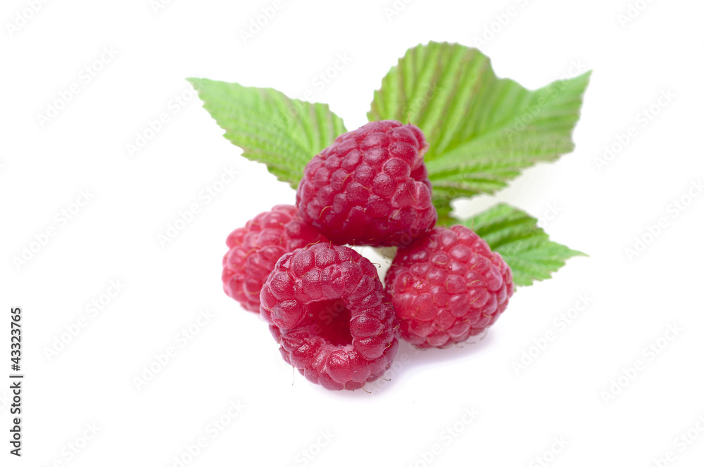 Raspberry Raspberry