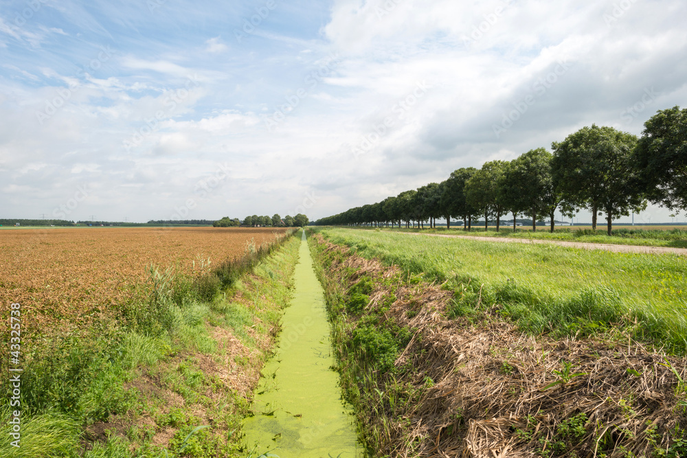 Ditch through a rural landscape in summer Ditch through a rural landscape in summer