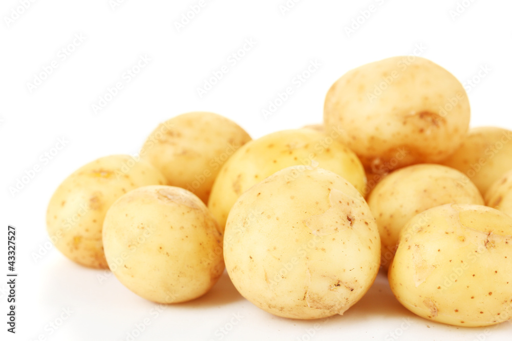 young potatoes on white background close-up young potatoes on white background close-up
