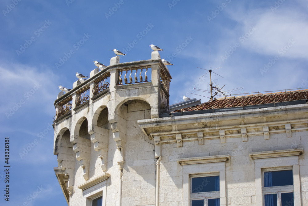 group of seagulls resting on a old building