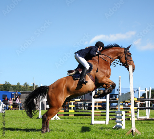 Show jumping with brown horse in England