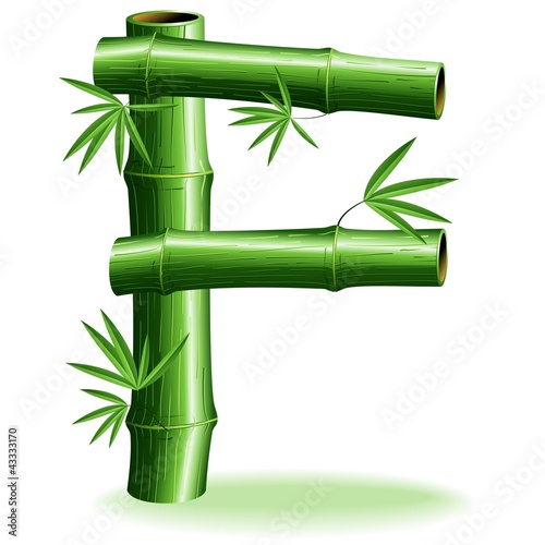 Bambù Lettera F - Bamboo Logo sign Letter F - Vector