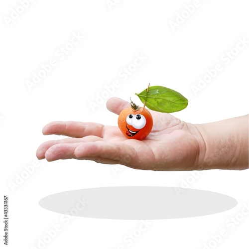 pomocuore photo