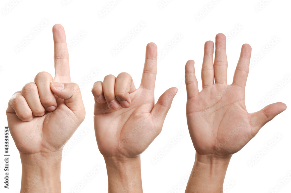 Hand collection with white background Hand collection with white background