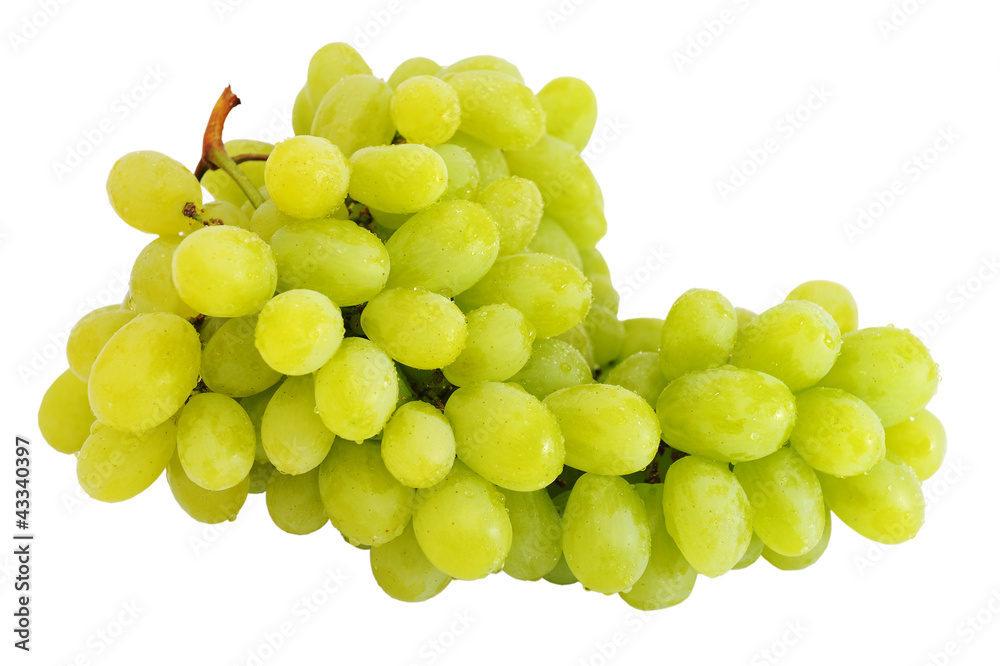 Fresh green grapes