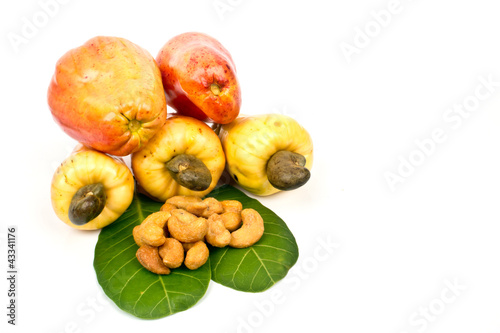 Cashew Nut apple