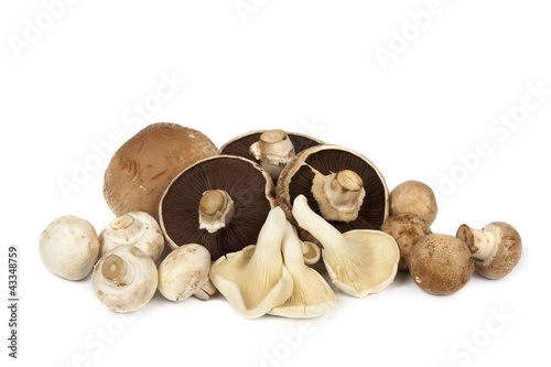 Fotografie Mushroom Varieties over White