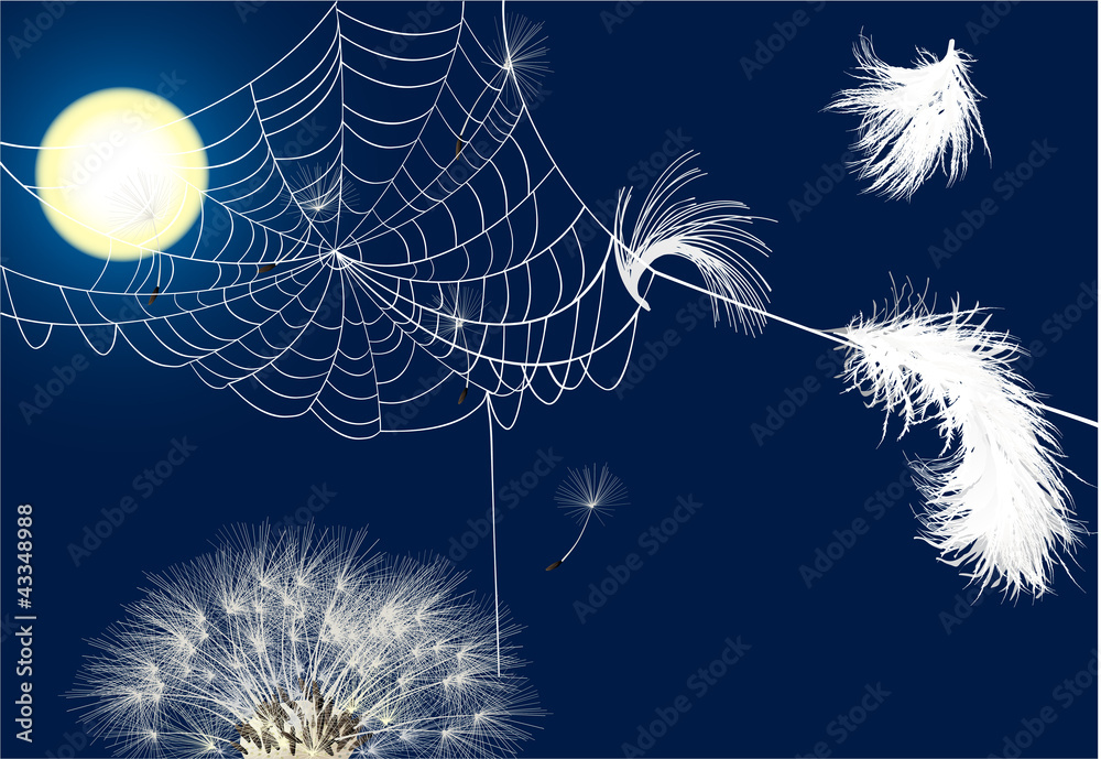 Naklejka premium feathers in spider web illustration