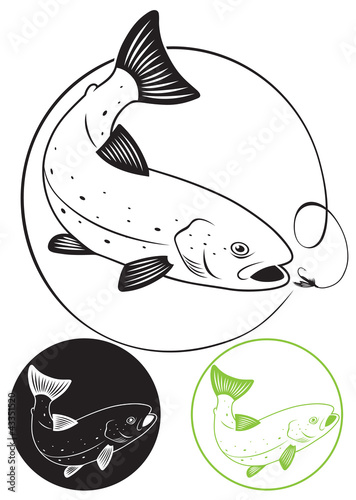 trout fish