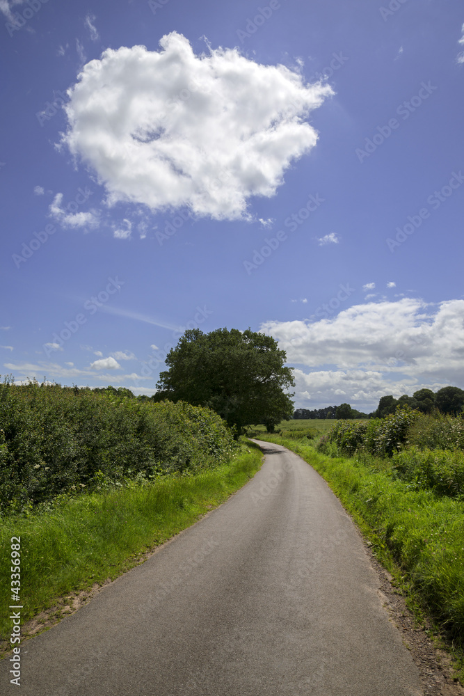 country lane
