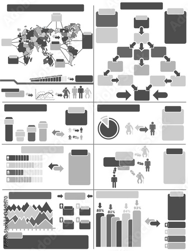 INFOGRAPHIC DEMOGRAPHICS 11 GRAY