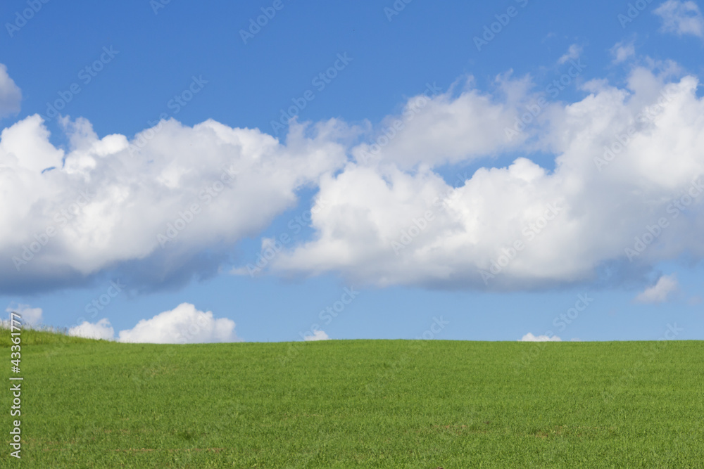 sky with clouds and green meadow sky with clouds and green meadow