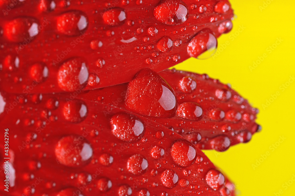 Water drops Water drops