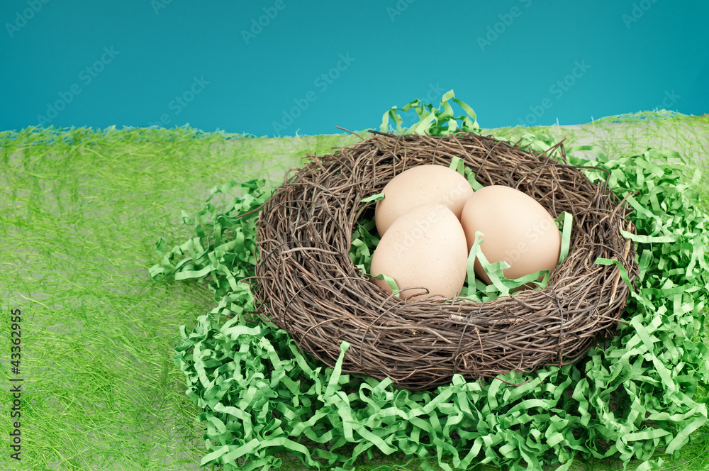 Obraz premium The eggs