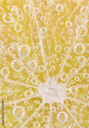 Bubbles