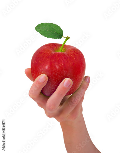 Hand holding red apple isolated on white