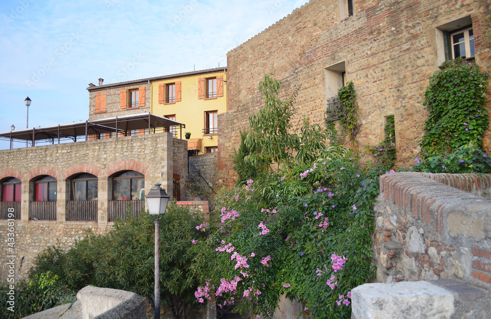 Hiver en Roussillon : maisons fleuries de Elne