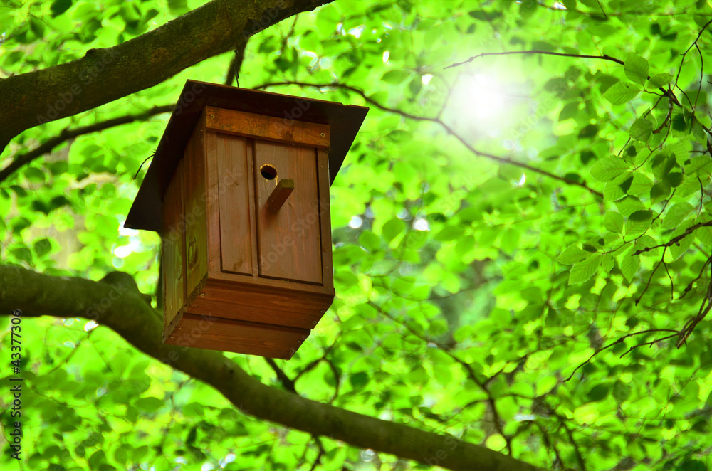 Vogelhaus im Grünen Vogelhaus im Grünen