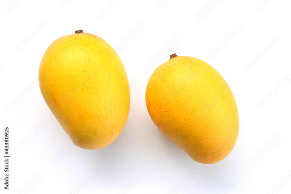 Ripe golden mangoes