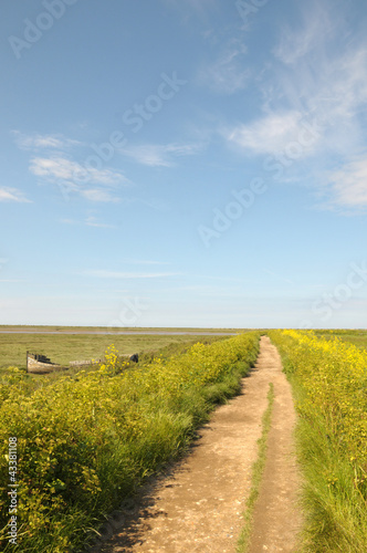 Coastal path through marshes at Blakeney in Norfolk