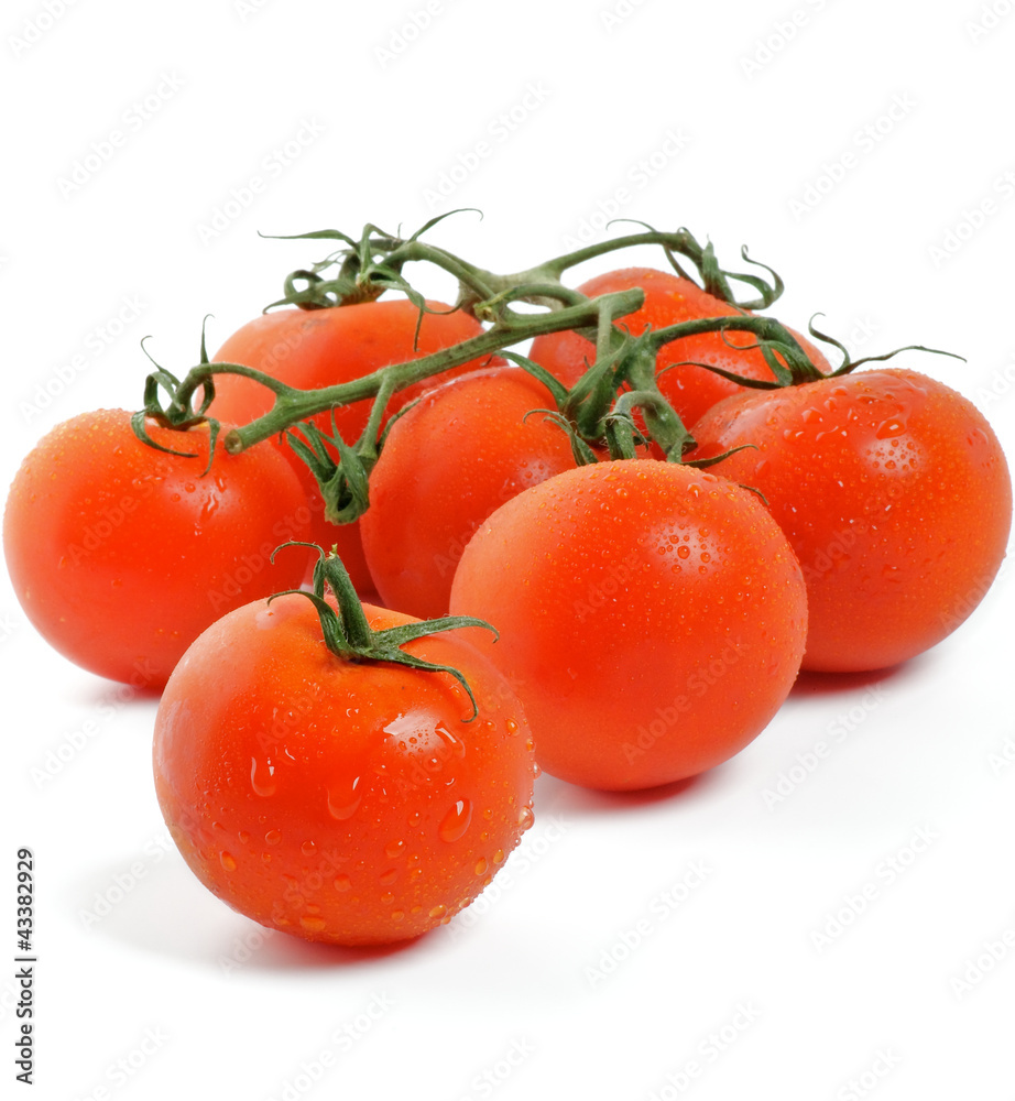 Tomatoes on twigs Tomatoes on twigs
