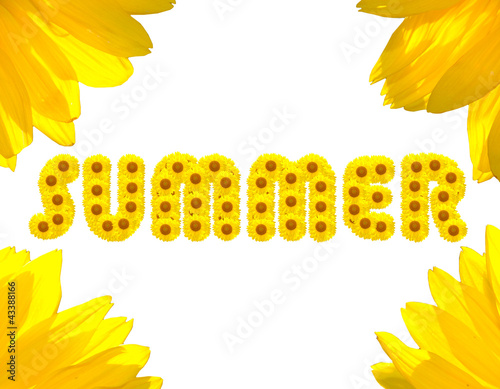 Summer Text made with sunflowers
