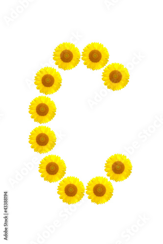 sunflower alphabet C on the white background