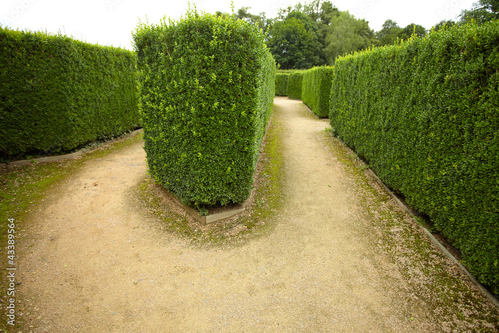 Obraz premium geometric pattern of green hedge flowerbed